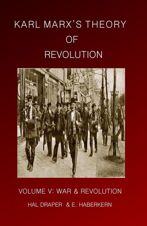 Produktbild: Karl Marx's Theory of Revolution Vol V