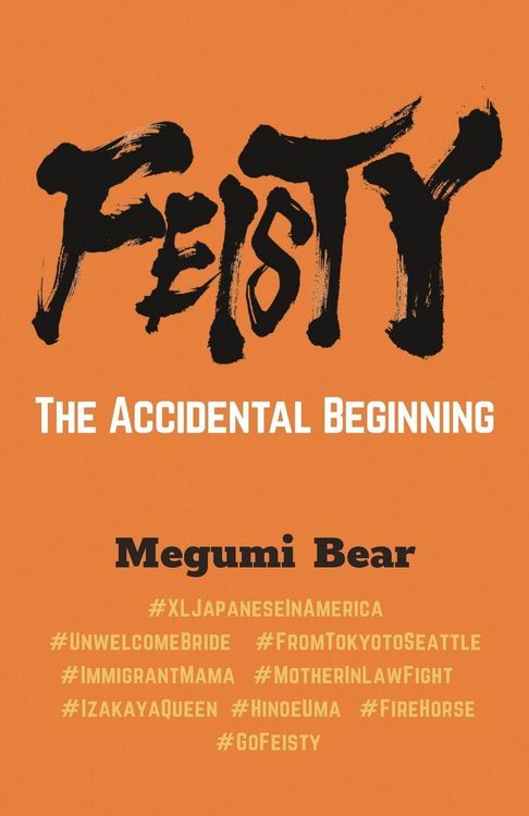 Produktbild: FEISTY - The Accidental Beginning