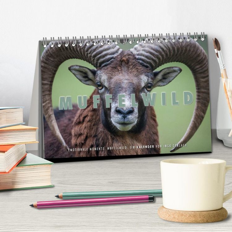 Produktbild: Emotionale Momente: Muffelwild. (Tischkalender 2026 DIN A5 quer), CALVENDO Monatskalender