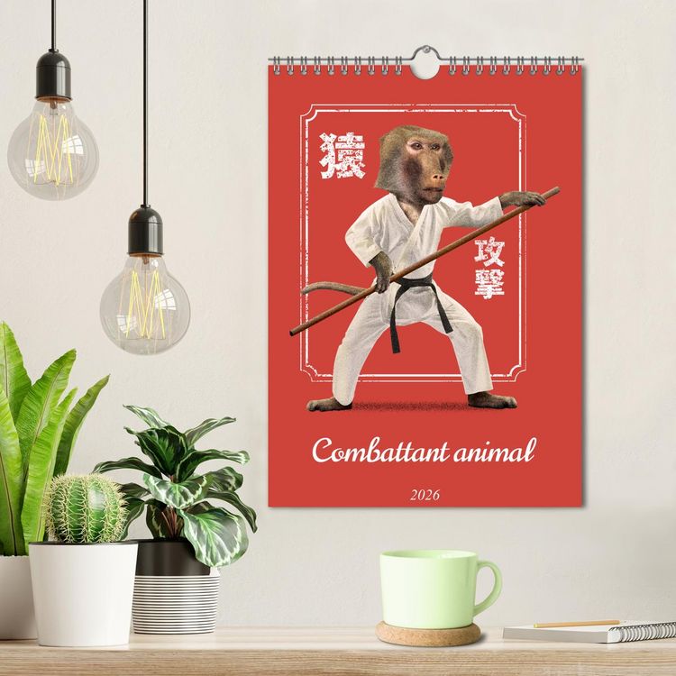 Produktbild: Combattant animal (Calendrier mural 2026 DIN A4 horizontal), CALVENDO calendrier mensuel