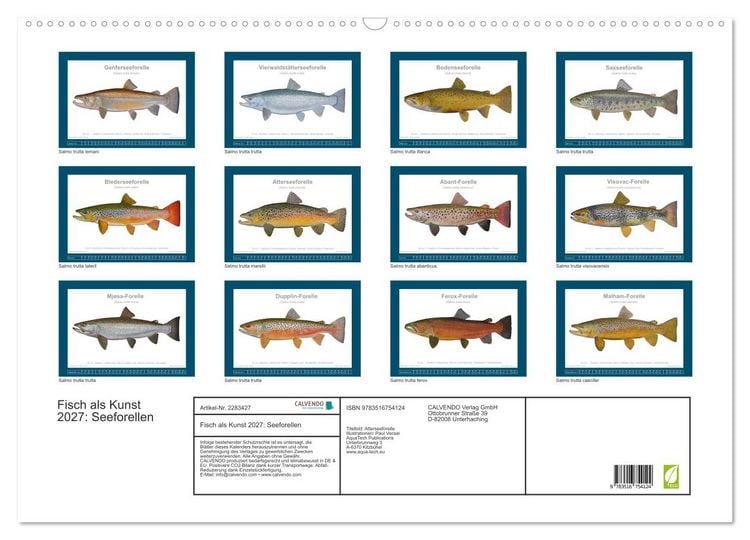 Produktbild: Fisch als Kunst 2027: Seeforellen (Wandkalender 2027 DIN A2 quer), CALVENDO Monatskalender