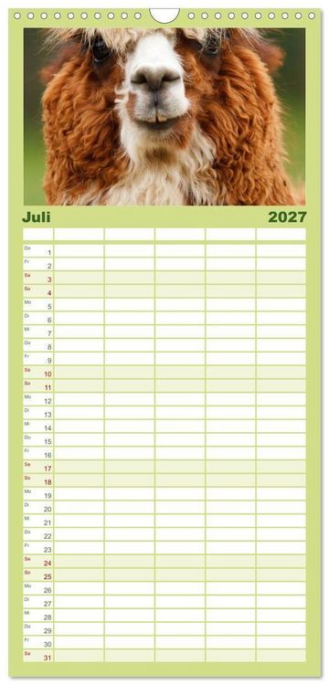 Produktbild: Familienplaner 2027 - Alpakas und Lamas mit 5 Spalten (Wandkalender, 21 x 45 cm) CALVENDO