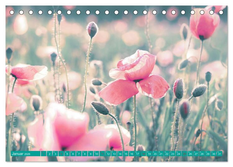 Produktbild: Mohnblumen - Fotografie mit Magie (Tischkalender 2026 DIN A5 quer), CALVENDO Monatskalender