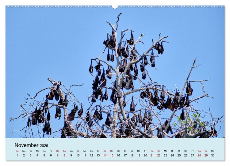 Produktbild: Indonesien - Die kleinen Sundainseln (hochwertiger Premium Wandkalender 2026 DIN A2 quer), Kunstdruck in Hochglanz