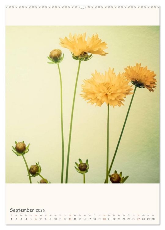 Produktbild: Blumige Fotomalerei (hochwertiger Premium Wandkalender 2026 DIN A2 hoch), Kunstdruck in Hochglanz