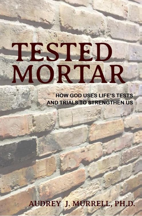 Produktbild: Tested Mortar