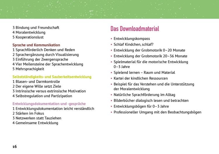 Produktbild: Meilensteine der kindlichen Entwicklung