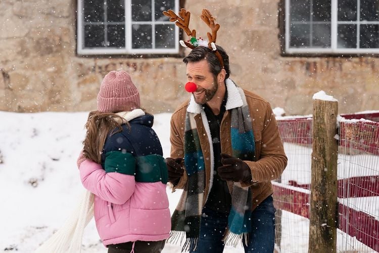 Produktbild: Weihnachten auf der Alpakafarm