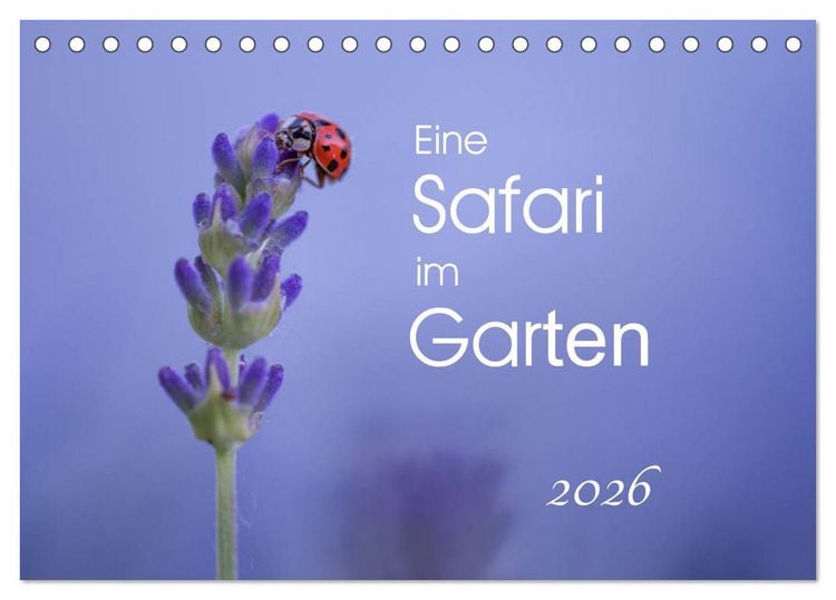 Produktbild: Eine Safari im Garten (Tischkalender 2026 DIN A5 quer), CALVENDO Monatskalender