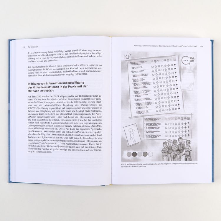 Produktbild: Handbuch Traumap&auml;dagogik