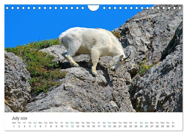 Produktbild: Icefields Parkway in Canada (Wall Calendar 2026 DIN A4 landscape), CALVENDO 12 Month Wall Calendar
