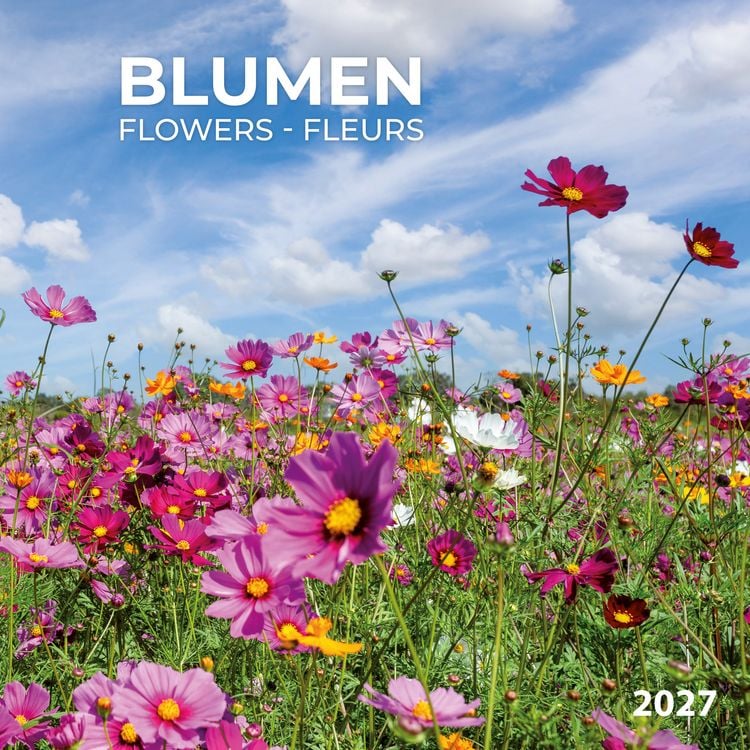 Produktbild: Blumen / Flowers 2027