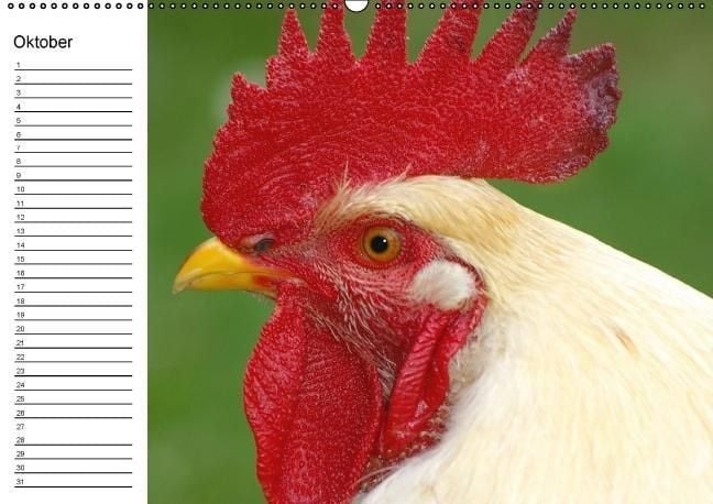 Produktbild: H&uuml;hner / Geburtstagskalender (Wandkalender immerw&auml;hrend DIN A2 quer)
