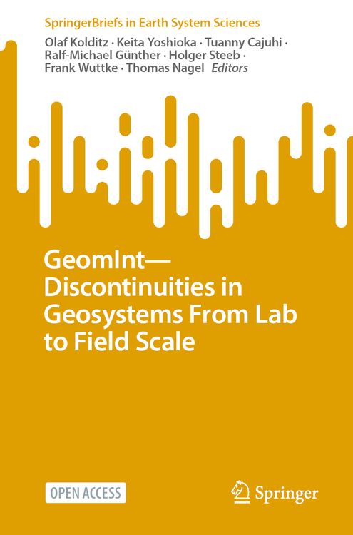 Produktbild: GeomInt&mdash;Discontinuities in Geosystems From Lab to Field Scale