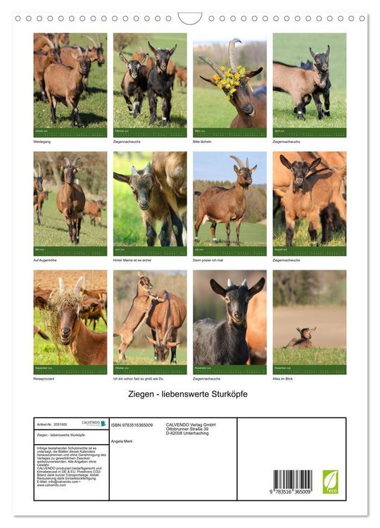 Produktbild: Ziegen - liebenswerte Sturk&ouml;pfe (Wandkalender 2026 DIN A3 hoch), CALVENDO Monatskalender