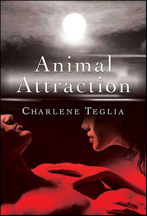 Produktbild: Animal Attraction