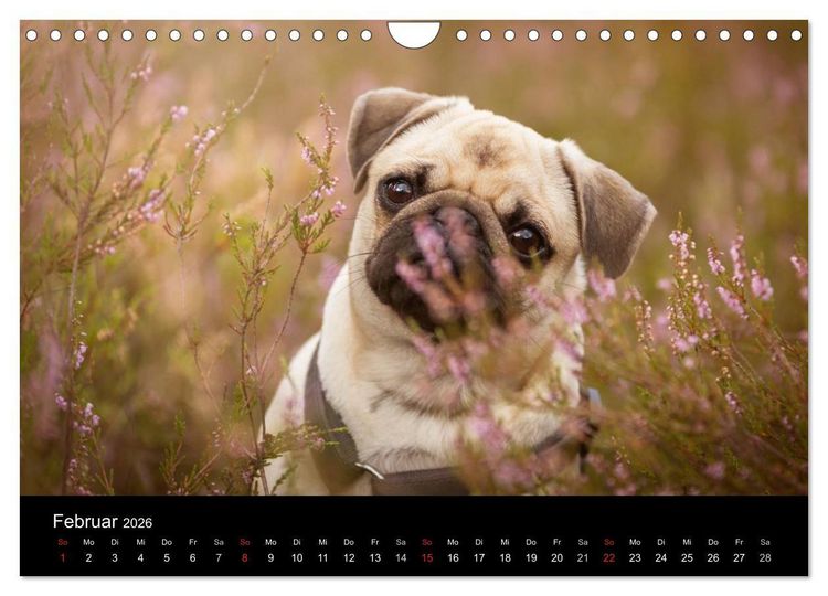 Produktbild: Vermopst durchs Jahr (Wandkalender 2026 DIN A4 quer), CALVENDO Monatskalender