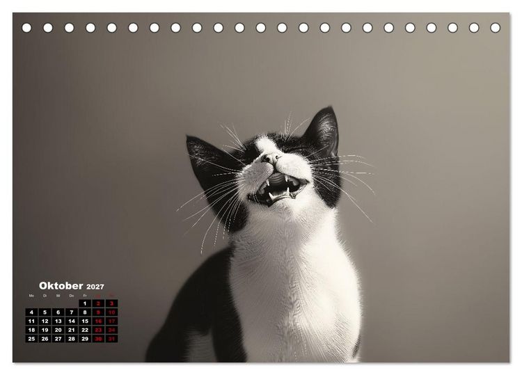 Produktbild: Auch Katzen lachen gern (Tischkalender 2027 DIN A5 quer), CALVENDO Monatskalender