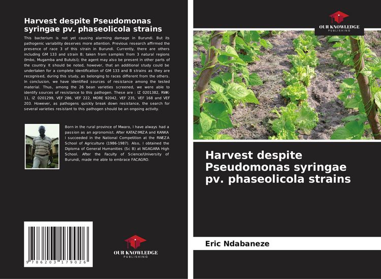 Produktbild: Harvest despite Pseudomonas syringae pv. phaseolicola strains