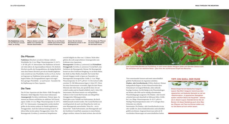 Produktbild: Aquascaping
