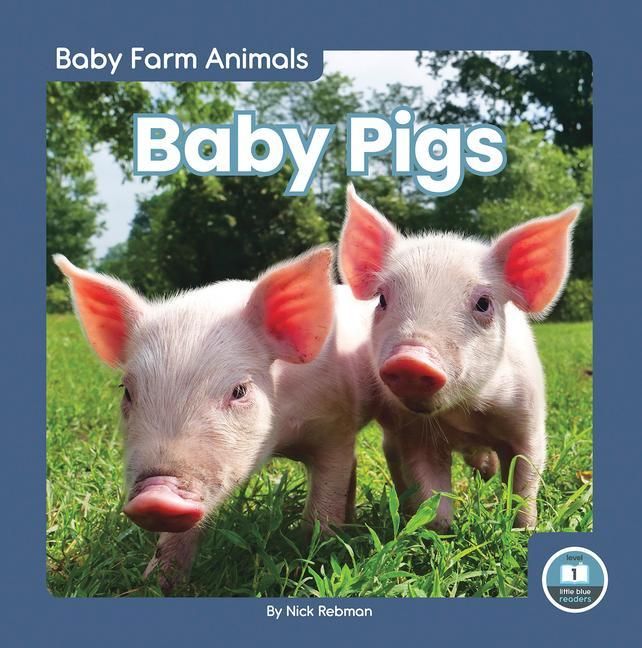 Produktbild: Baby Pigs