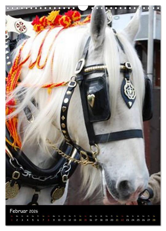 Produktbild: Shire Horse - Geschm&uuml;ckte Riesen (Wandkalender 2026 DIN A3 hoch), CALVENDO Monatskalender