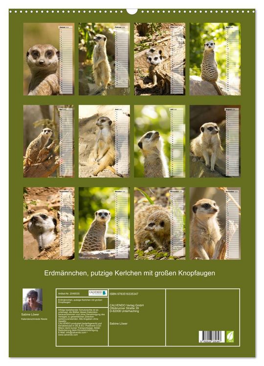 Produktbild: Erdm&auml;nnchen, putzige Kerlchen mit gro&szlig;en Knopfaugen (Wandkalender 2026 DIN A2 hoch), CALVENDO Monatskalender