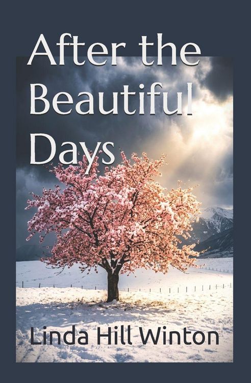 Produktbild: After the Beautiful Days