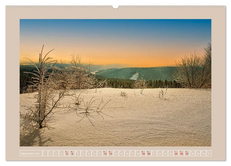 Produktbild: Vogtland - 900 Jahre Plauen (Wandkalender 2026 DIN A2 quer), CALVENDO Monatskalender