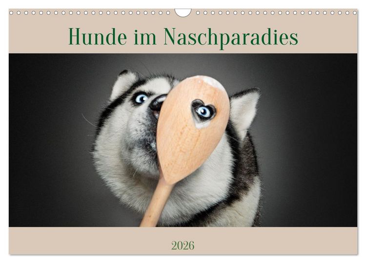 Produktbild: Hunde im Naschparadies (Wandkalender 2026 DIN A3 quer), CALVENDO Monatskalender