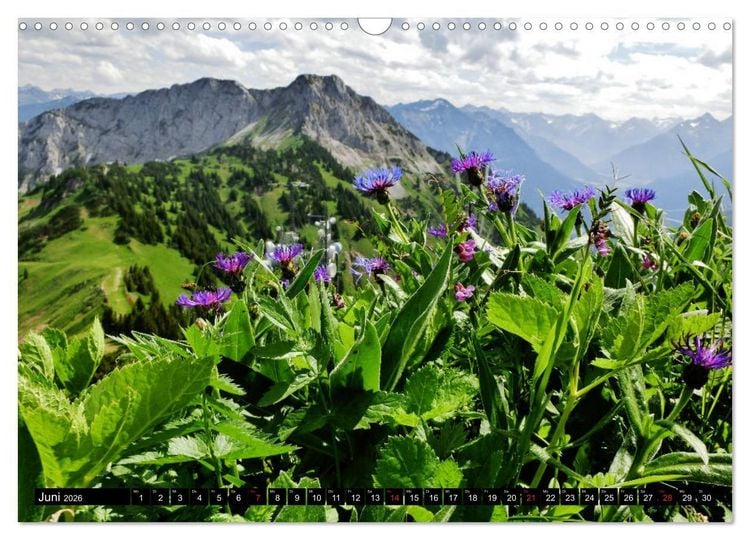 Produktbild: Allg&auml;uer Bergblicke - Frei f&uuml;hlen, frei denken, loslassen... (Wandkalender 2026 DIN A3 quer), CALVENDO Monatskalender