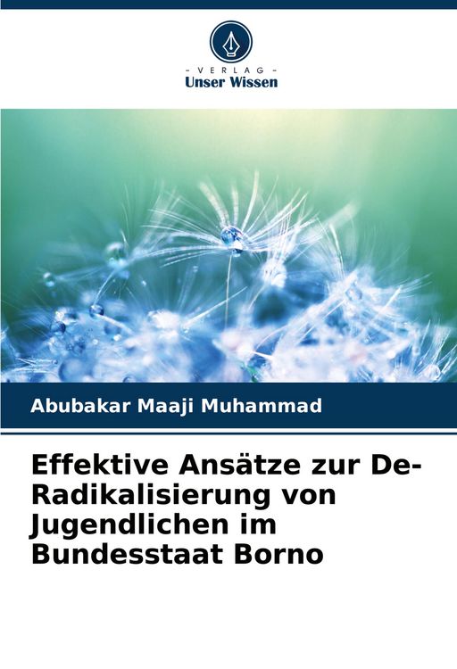 Produktbild: Effektive Ans&auml;tze zur De-Radikalisierung von Jugendlichen im Bundesstaat Borno