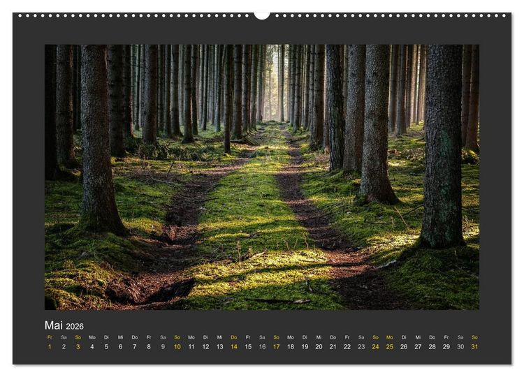 Produktbild: Poesie der Natur (hochwertiger Premium Wandkalender 2026 DIN A2 quer), Kunstdruck in Hochglanz