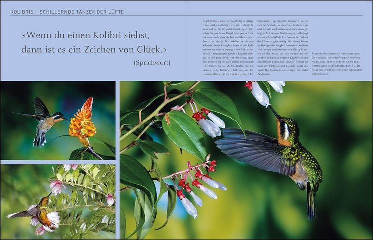 Produktbild: KUNTH Costa Rica. Das Buch
