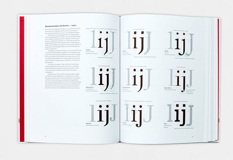 Produktbild: Anatomie der Buchstaben