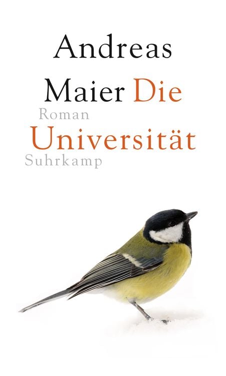 Bild vom Artikel Die Universität vom Autor Andreas Maier