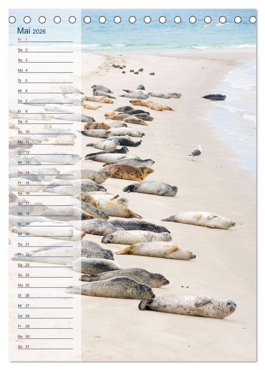 Produktbild: Maritim - Geburtstagskalender (Tischkalender 2026 DIN A5 hoch), CALVENDO Monatskalender