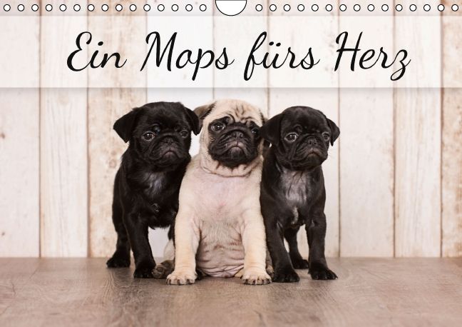 Produktbild: Ein Mops f&uuml;rs Herz (Wandkalender immerw&auml;hrend DIN A4 quer)