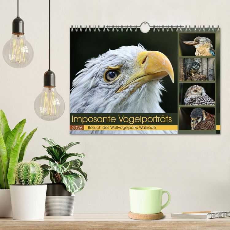 Produktbild: Imposante Vogelportr&auml;ts (Wandkalender 2026 DIN A4 quer), CALVENDO Monatskalender