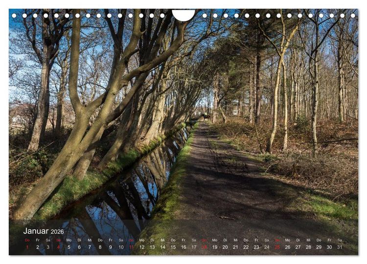 Produktbild: Texel - Meine Insel (Wandkalender 2026 DIN A4 quer), CALVENDO Monatskalender