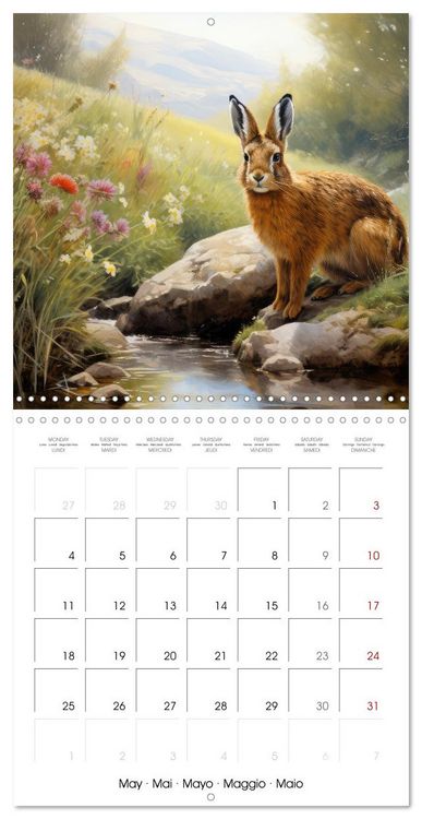 Produktbild: Des amours de lapins (Calendrier mural carr&eacute; 2026 30x30 cm) Calendrier double avec une page pour vos prises de notes
