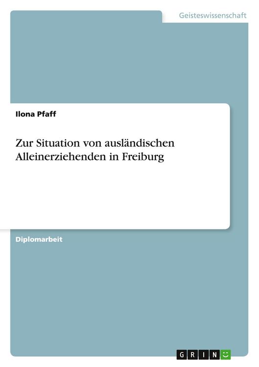 Produktbild: Zur Situation von ausl&auml;ndischen Alleinerziehenden in Freiburg