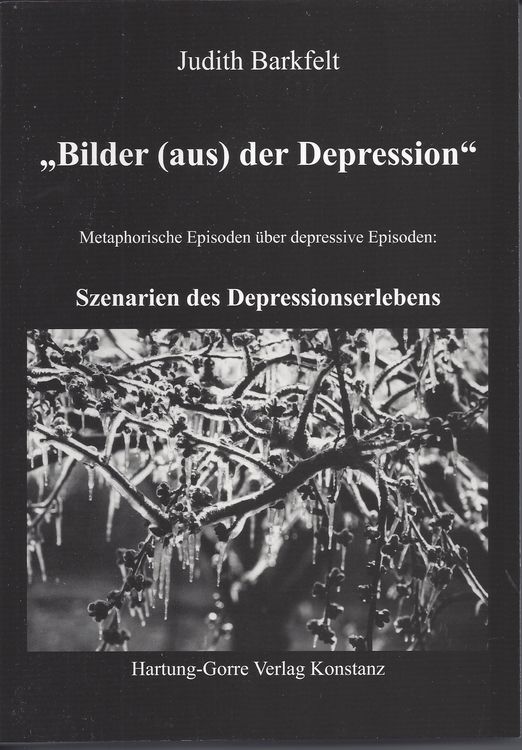 Produktbild: Bilder (aus) der Depression
