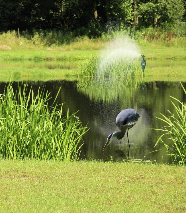 Produktbild: Gardigo Tierabwehrger&auml;t Funktionsart Wasserstrahl 1St.