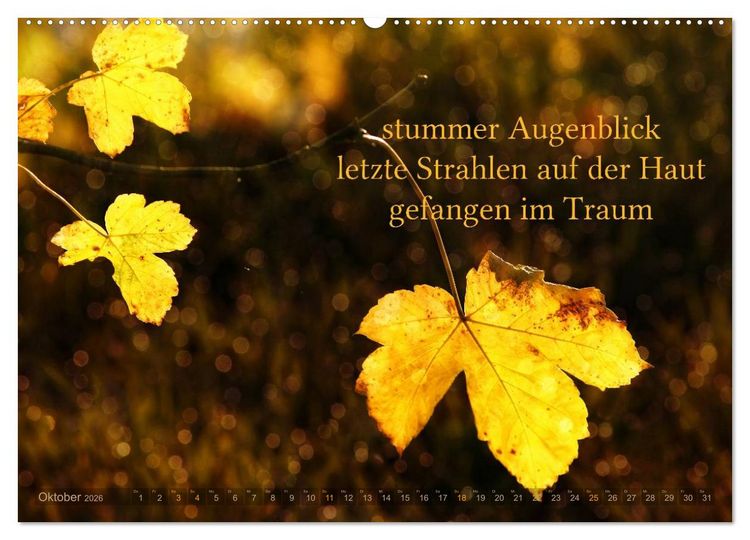 Produktbild: Haiku - Gedichte in 17 Silben (Wandkalender 2026 DIN A2 quer), CALVENDO Monatskalender