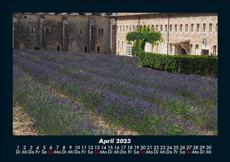 Produktbild: Blumenkalender 2025 Fotokalender DIN A5