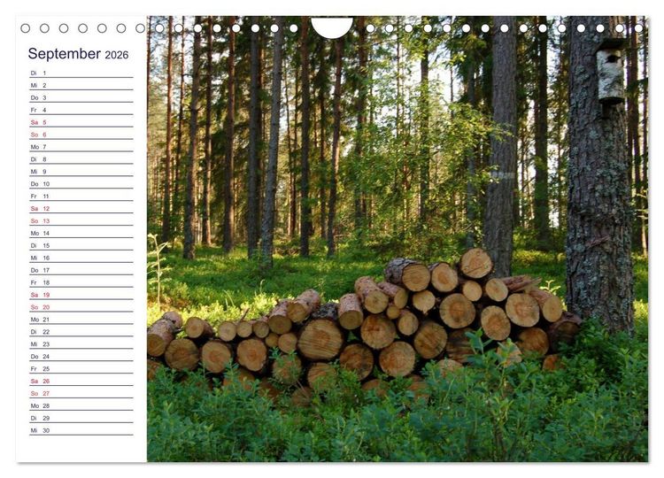 Produktbild: faszinierendes Schweden Smaland (Wandkalender 2026 DIN A4 quer), CALVENDO Monatskalender