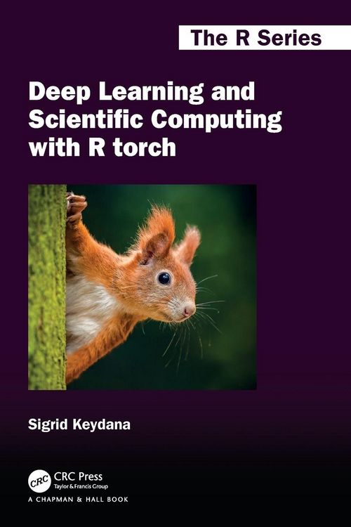Produktbild: Deep Learning and Scientific Computing with R torch