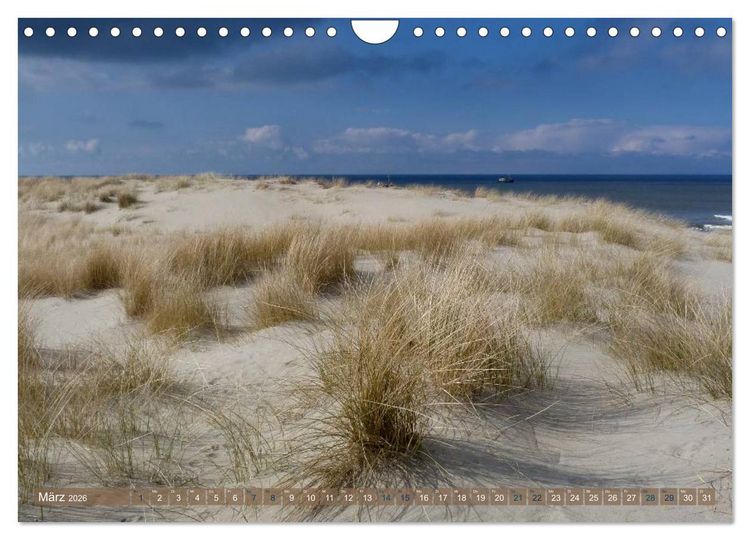 Produktbild: Strandwanderungen auf Texel (Wandkalender 2026 DIN A4 quer), CALVENDO Monatskalender