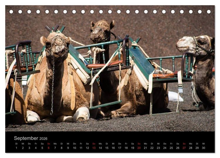 Produktbild: Unterwegs auf Lanzarote (Tischkalender 2026 DIN A5 quer), CALVENDO Monatskalender
